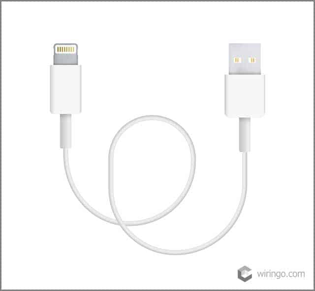 The realistic vector illustration of lightning to USB cable