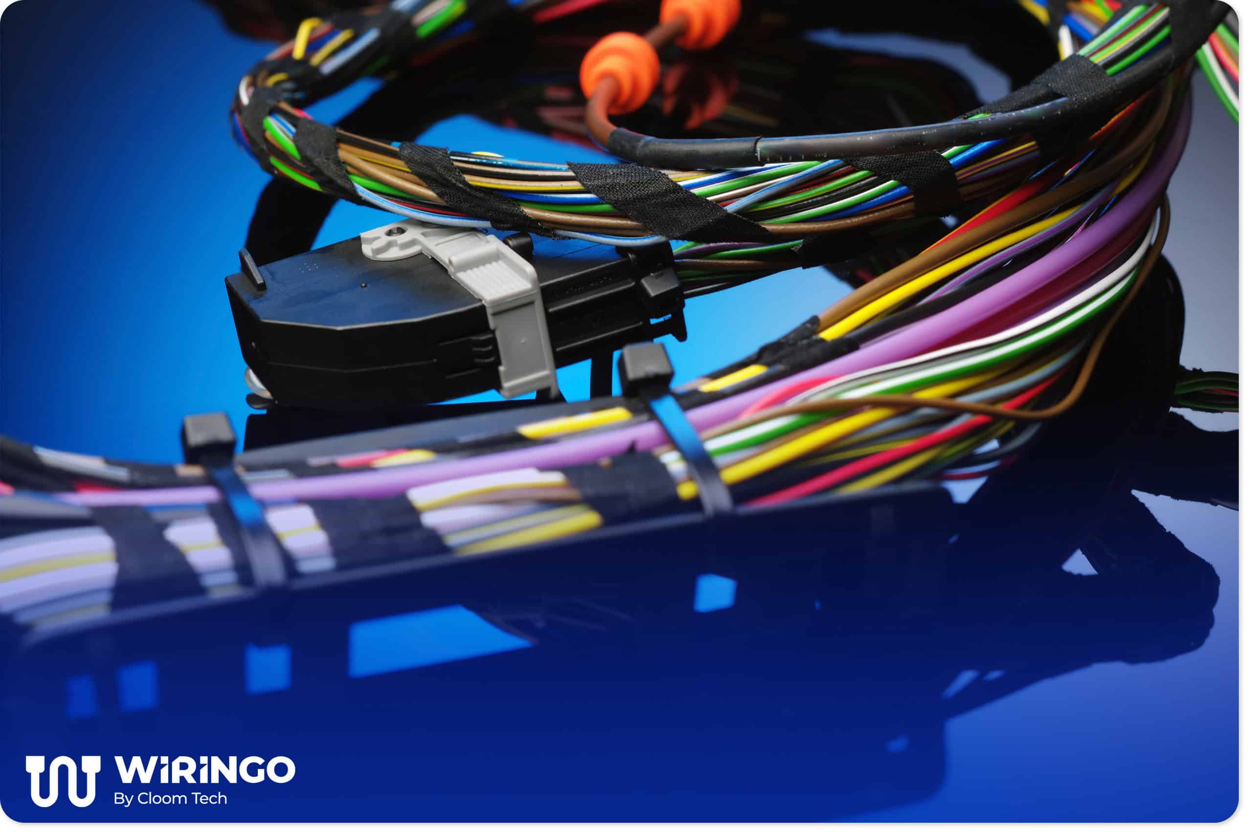 Custom Molded Harness